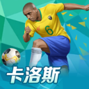 金牛版42982cm